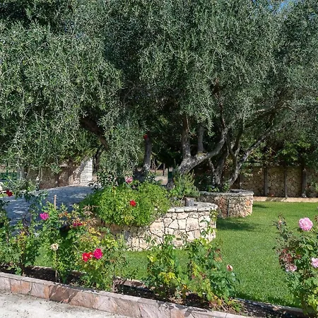 Vista Studios, Svoronata